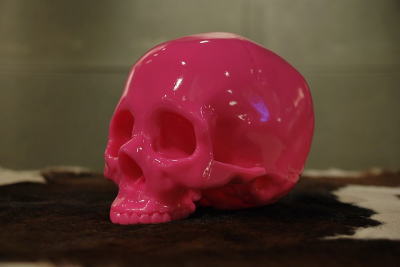 �V�F���^�[�o���N�@�I���W�i���@�g�C�@�h�N���@�q���[�}���@�s���N�@�摜�@�΂�